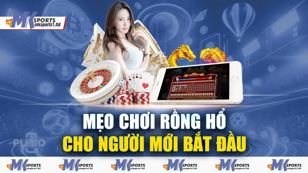 Mẹo chơi rồng hổ cho người mới bắt đầu